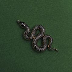 a black and white snake laying on top of a green surface