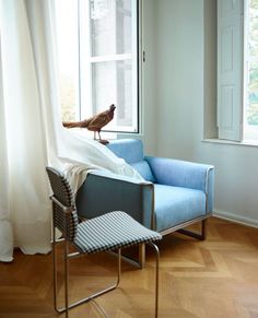 a bird sitting on top of a blue chair in front of a window next to a wooden floor