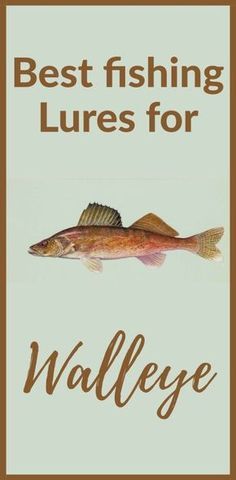 a sign that says best fishing lures for walleye