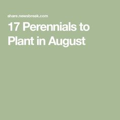 the words 17 perennials to plant in august on a green background with white text