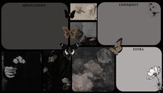 a collage of different images with butterflies and flowers on the top one is black and white