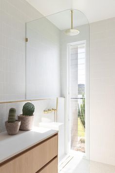 a bathroom with a sink, mirror and potted cactus