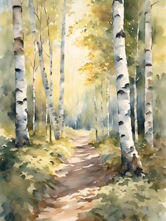 a watercolor painting of a path in the woods