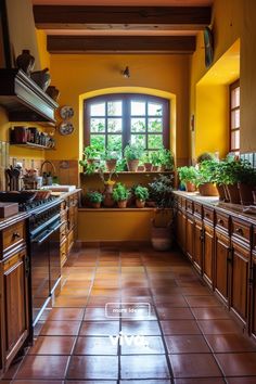 a kitchen filled with lots of potted plants next to a stove top oven under a window