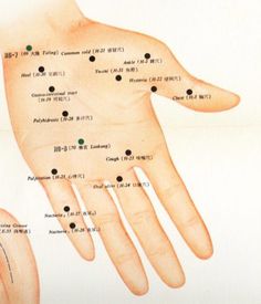 Pressure Points Chart, Meridian Acupuncture, Acupuncture Points Chart, Massage Quotes, Ayurvedic Massage, Tooth Chart, Reflexology Chart, Pressure Point, Horse Therapy