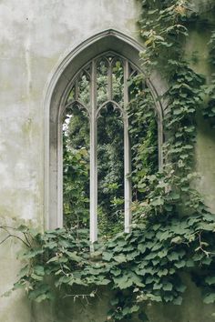 an old building with ivy growing on it's side and a window in the middle