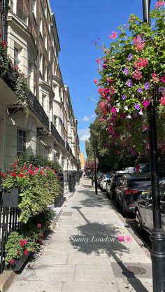 the sidewalk is lined with flowers and cars