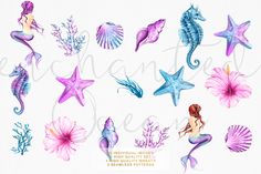 watercolor seahorses, starfish and other marine creatures are featured in this image