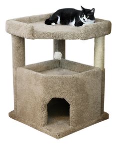 a black and white cat laying on top of a cat tree