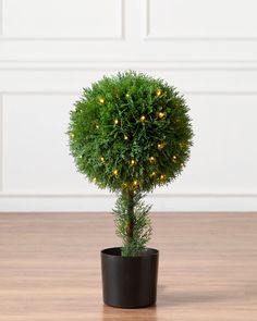 a small potted tree with lights on it