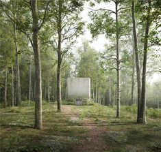 an empty bench in the middle of a forest