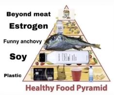 a food pyramid with the words healthy food pyramid written below it and an image of fish