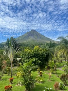 a lush green field with lots of trees and flowers in front of a mountain range