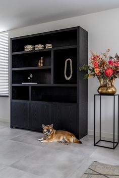 a dog laying on the floor in front of a black bookcase and vase with flowers