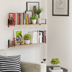 a living room filled with furniture and bookshelves next to a wall mounted plant