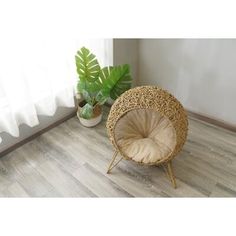 a wicker chair sitting next to a potted plant on top of a hard wood floor