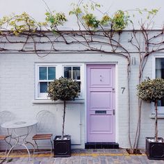 a white house with purple door and two small trees next to the front door, on a cobblestone sidewalk