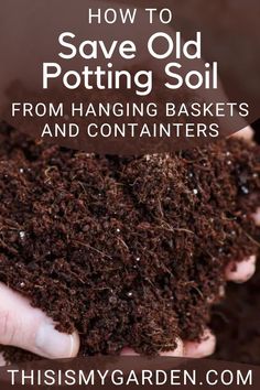 someone holding soil in their hands with the text how to save old potting soil from hanging baskets and containers