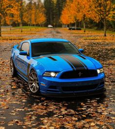 a blue mustang parked on the side of a road in front of trees with fall leaves