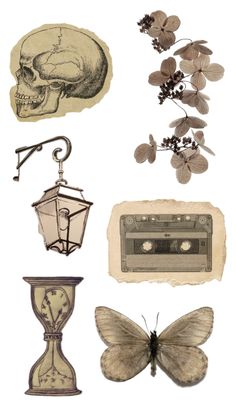 an assortment of different items including a clock, butterfly and skull