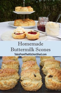 homemade buttermilk scones on a plate with jam in the middle and other desserts