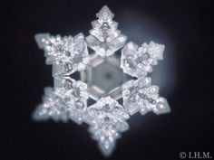 a snowflake is shown in the dark with its reflection on it's surface