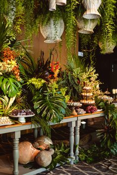 an assortment of plants and food on display in front of a wall with hanging lights