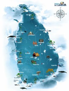 an illustrated map of the state of south america with all its major cities and towns