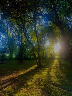 the sun is shining through the trees in the park