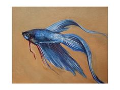 a painting of a blue siamese fish