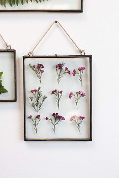 two framed pictures hanging on the wall with flowers and leaves in them next to each other