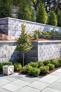 a brick wall with trees and bushes in the corner, next to a concrete planter