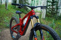 a red mountain bike parked on a trail in the woods with trees and grass behind it