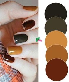 Winter Pallette Nails, Fall Nails Gradient, Gradient Fall Nails, Multicolored Nails Winter, Fall Multi Color Nails, Fall Multicolor Nails, Fall Skittle Nails, Atum Nails, Fall Nail Colors 2022