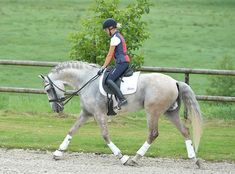 a woman riding on the back of a gray and white horse in front of a wooden fence