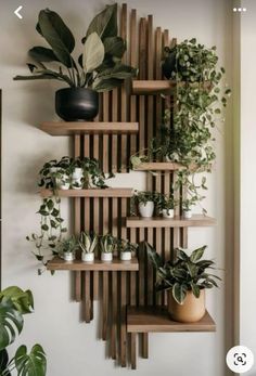 a wooden shelf with plants on top of it