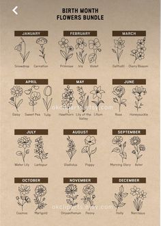 the birth month flowers and their names