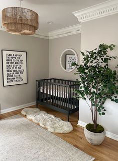 a baby's room with a crib, potted plant and pictures on the wall