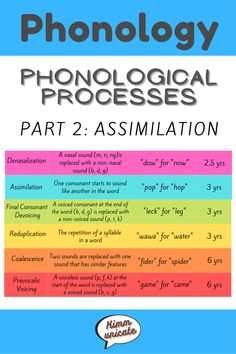 a poster with the words phonological processes on it