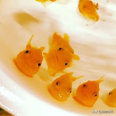 five little yellow fish in a white bowl