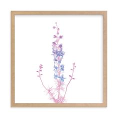 a pink and blue flower on a white background in a wooden frame with a brown border