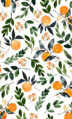 watercolor painting of oranges and leaves on a white background with yellow flowers, green leaves and berries