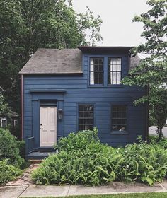 a blue house with two windows and a white door in the front yard surrounded by greenery