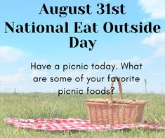 a picnic blanket and basket with the words national eat outside day