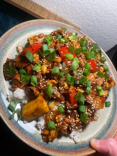 someone is holding a plate full of food with rice and vegetables on it in the foreground