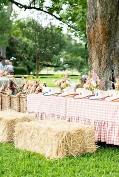 an outdoor picnic with hay bales and table cloths on the grass near a tree