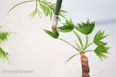 a plant with green leaves is shown in front of a white wall and the bottom part of it has a pencil sticking out of it