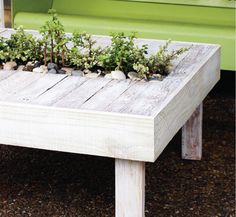 a green couch sitting next to a wooden table with plants growing on top of it