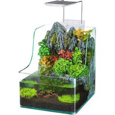 an aquarium filled with plants and water on top of a white background, it's clear