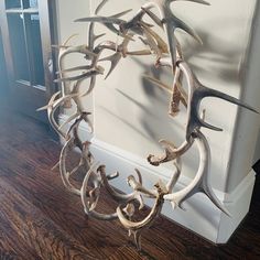 an antler's head hanging on the wall in front of a window with wooden floors